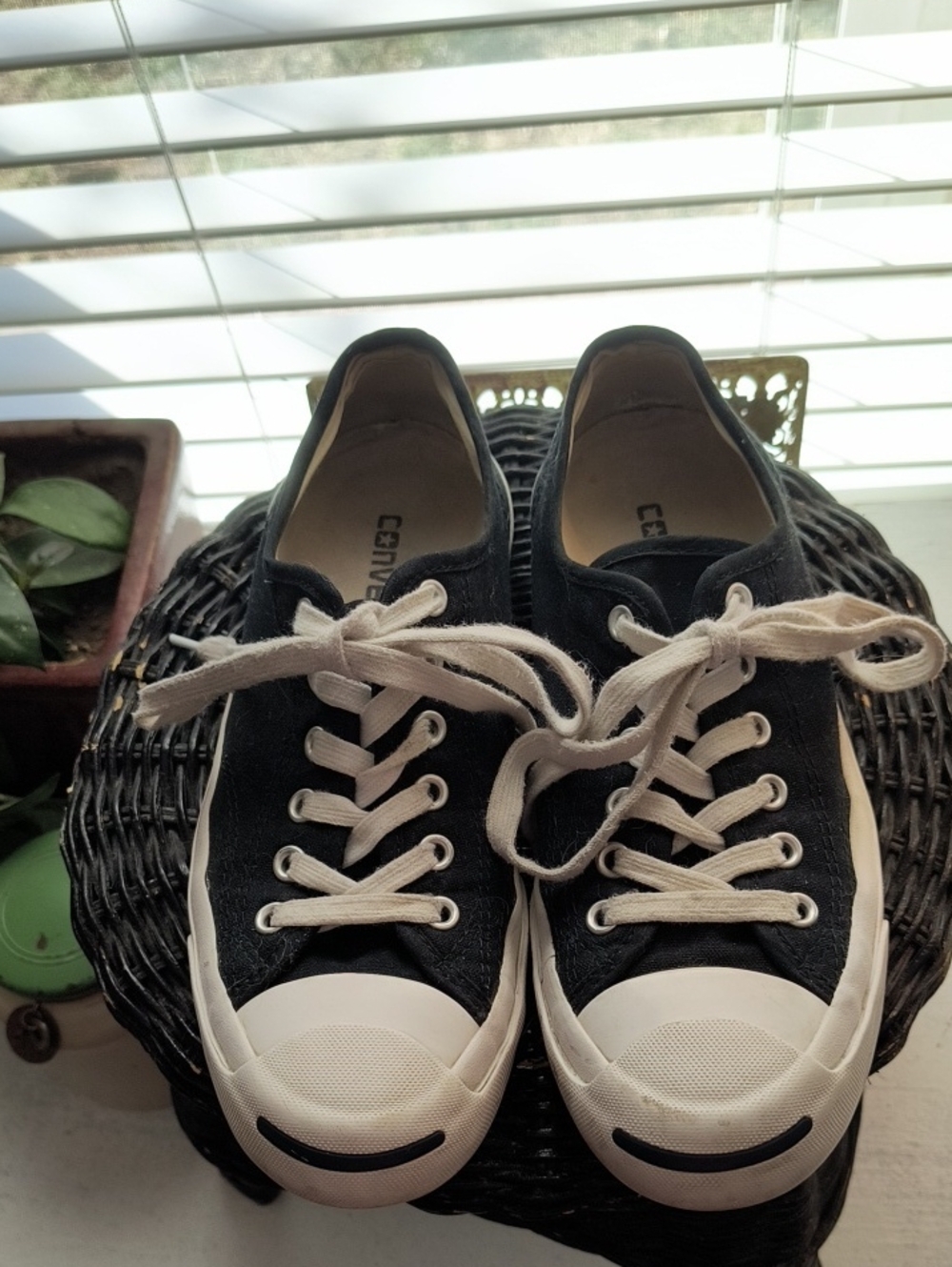 Converse Jack Purcell